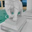 江门 白麻花岗岩动物异形石雕-大象