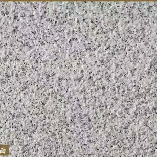 江门白麻荔枝面