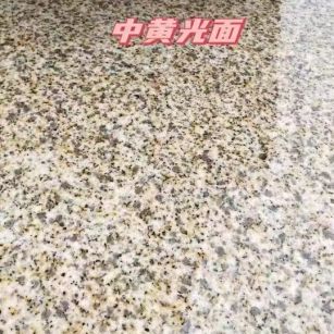 江门黄金麻中黄光面