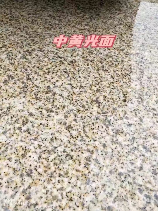 江门黄金麻中黄光面