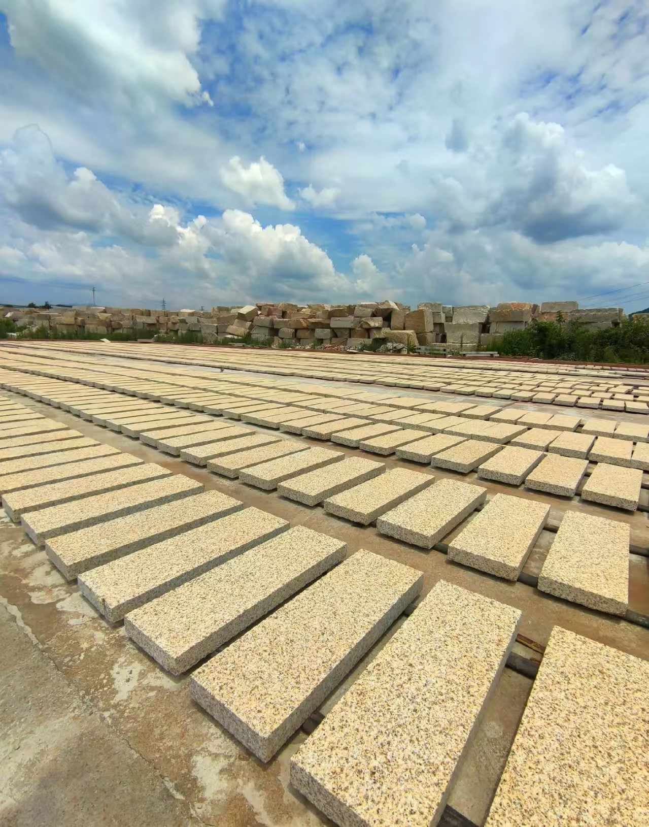 江门 黄金麻荔枝面花岗岩石材地铺石防护中