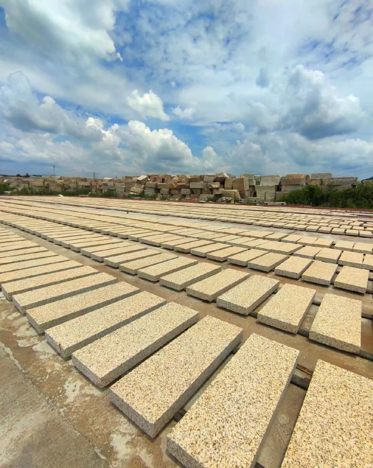 江门 黄金麻花岗岩荔枝面地铺石防护中