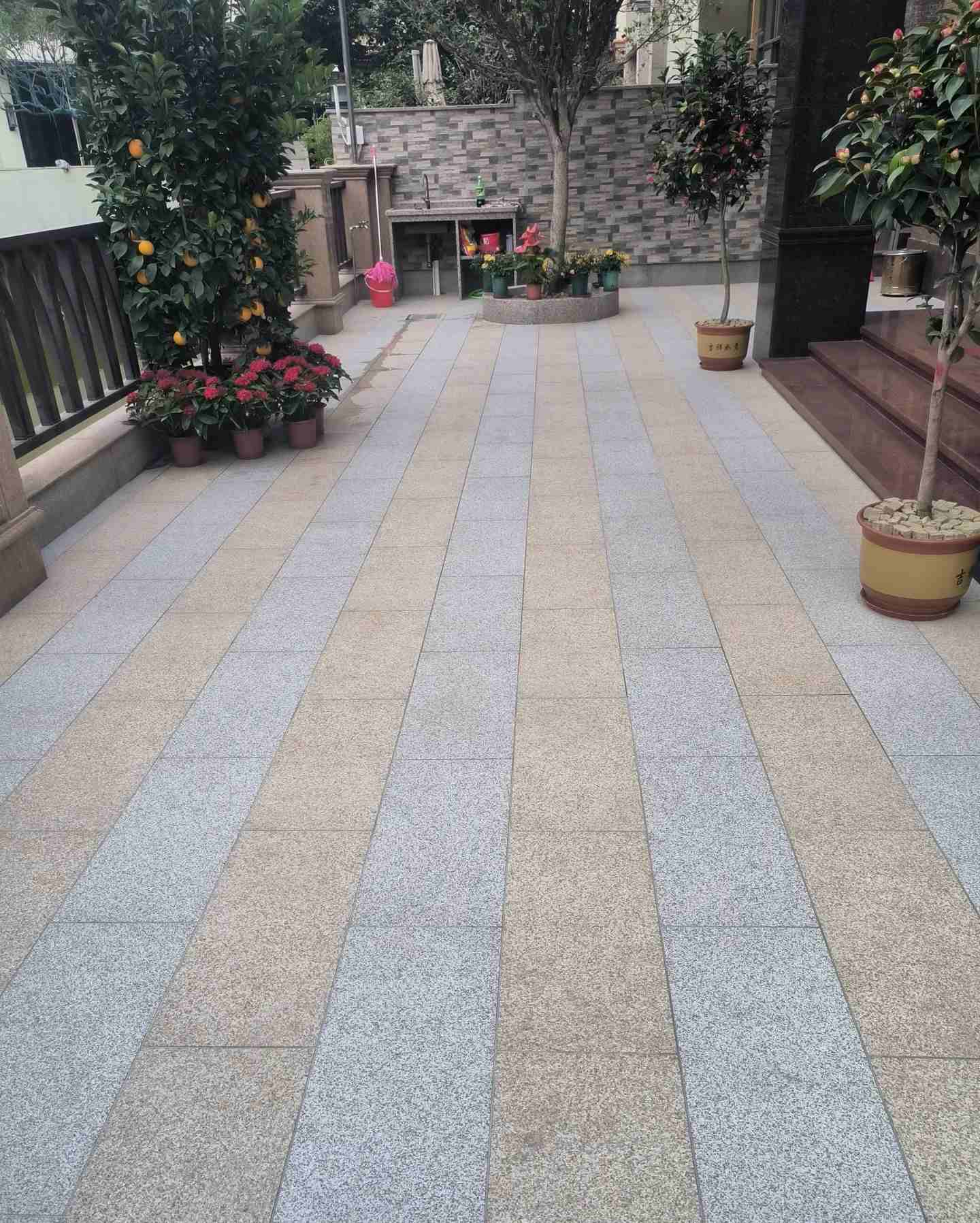 江门 黄金麻白麻荔枝面庭院铺装展示